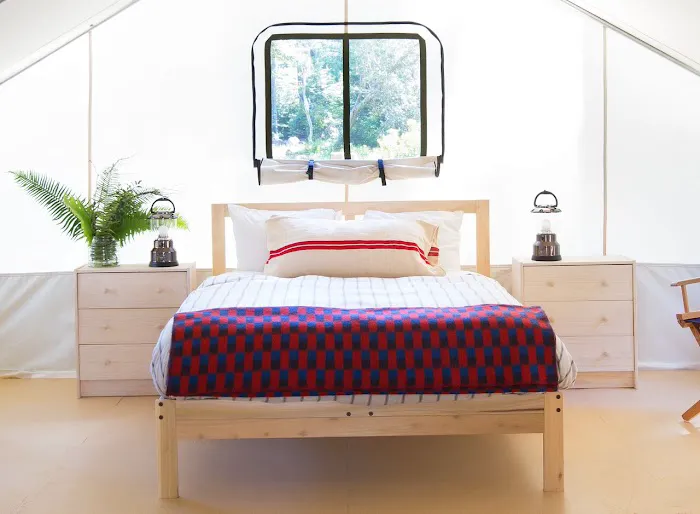 Mendocino Grove Picture 4