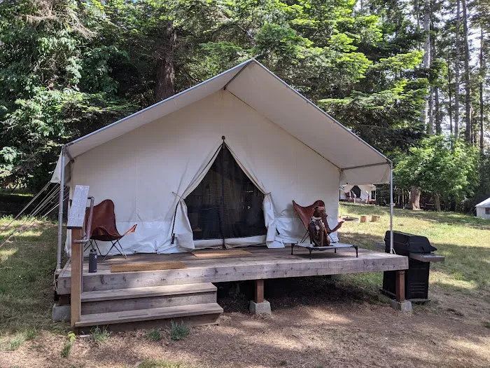 Mendocino Grove Picture 7