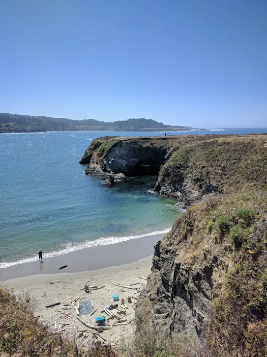 Mendocino Grove Picture 9