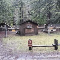 Camp One, Jackson State Demonstration Forest ico
