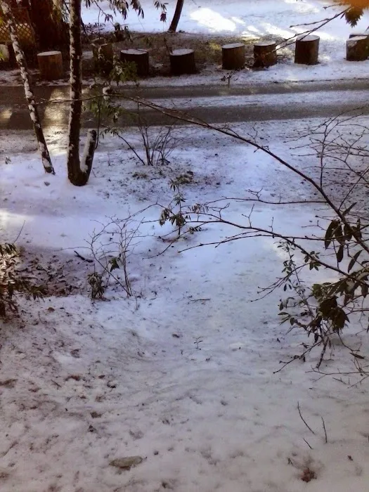 Creekside Cabins & Rv Resort Picture 2