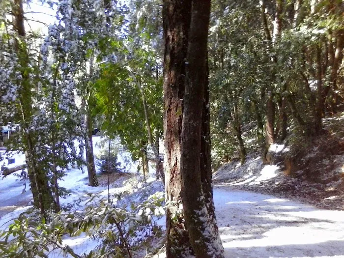 Creekside Cabins & Rv Resort Picture 4