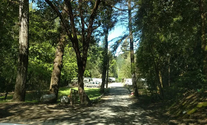 Creekside Cabins & Rv Resort Picture 5