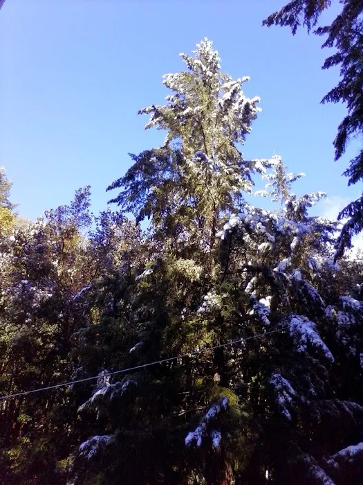 Creekside Cabins & Rv Resort Picture 8