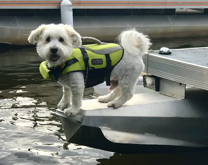 Lakeside Manor & RV Park Picture 6