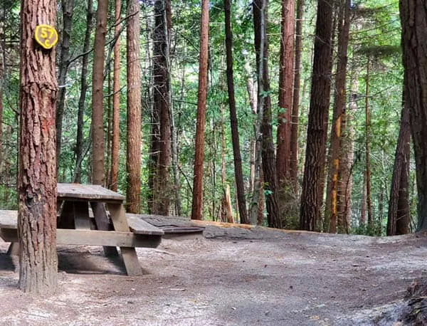 Wildwood Campground & RV Resort Picture 1
