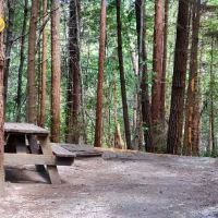 Wildwood Campground & RV Resort ico