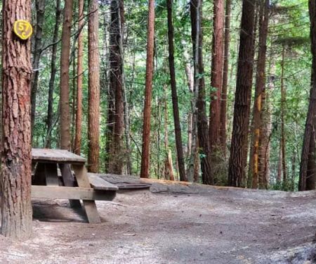 Wildwood Campground & RV Resort