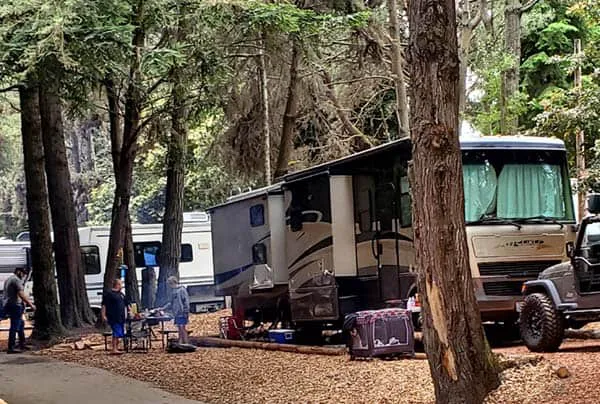 Wildwood Campground & RV Resort Picture 3