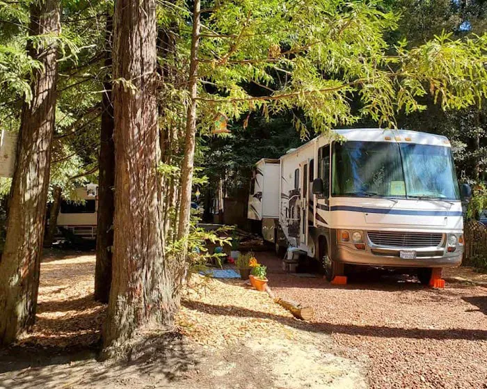 Wildwood Campground & RV Resort Picture 2