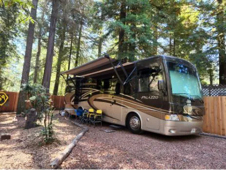Wildwood Campground & RV Resort Picture 9