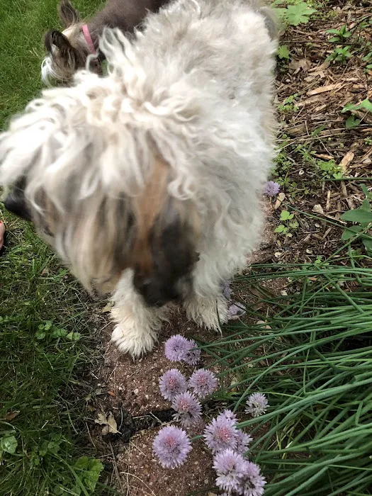 Minnesota Airstream Park Picture 3