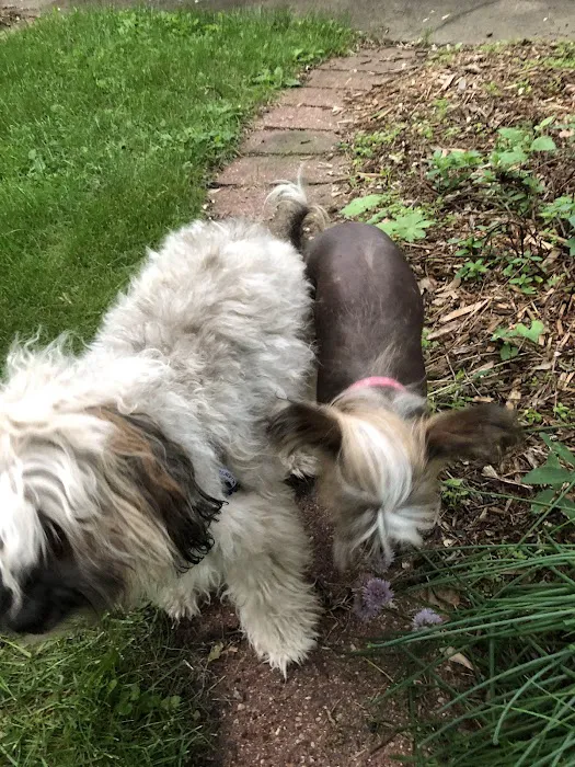 Minnesota Airstream Park Picture 8