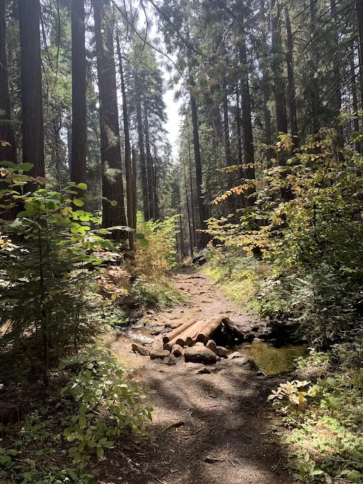 Nelder Grove Picture 4