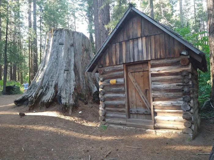 Nelder Grove Picture 1