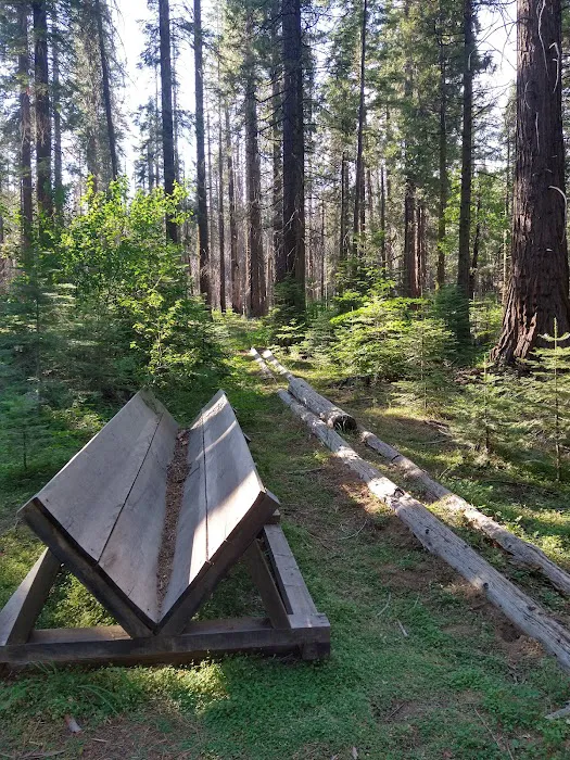 Nelder Grove Picture 6