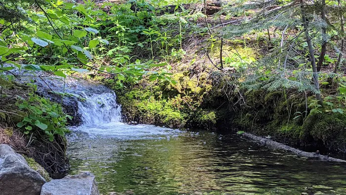 Nelder Grove Picture 5