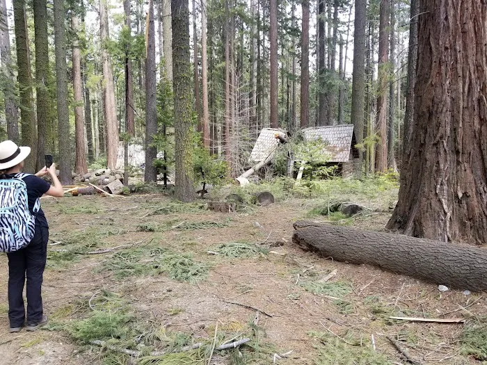 Nelder Grove Picture 8