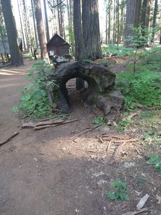 Nelder Grove Picture 10