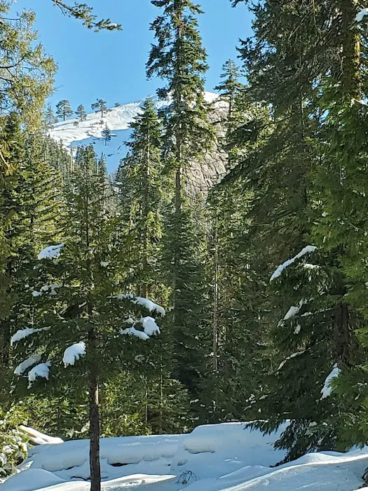 Fresno Dome Campground Picture 3
