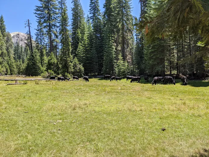 Fresno Dome Campground Picture 1