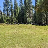 Fresno Dome Campground ico