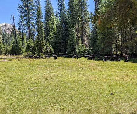 Fresno Dome Campground