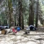 Kelty Meadow Campground