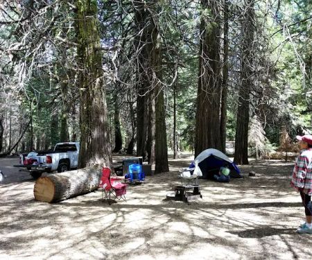 Kelty Meadow Campground