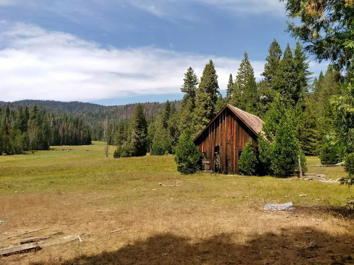 Kelty Meadow Campground Picture 3