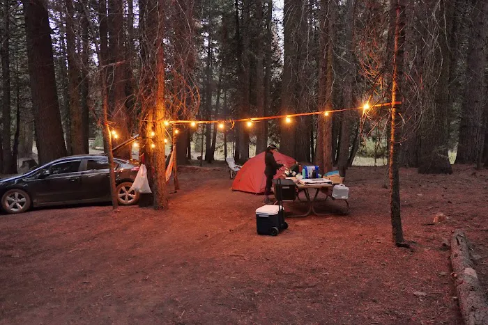 Kelty Meadow Campground Picture 8