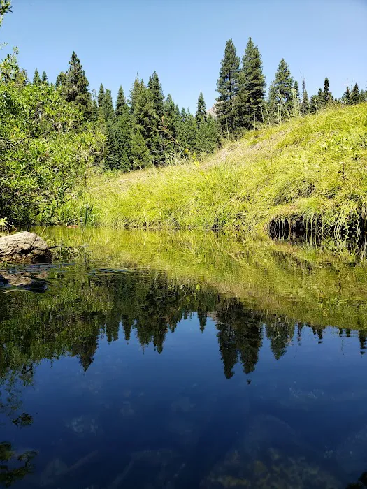 Kelty Meadow Campground Picture 5