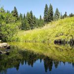 Kelty Meadow Campground - Office