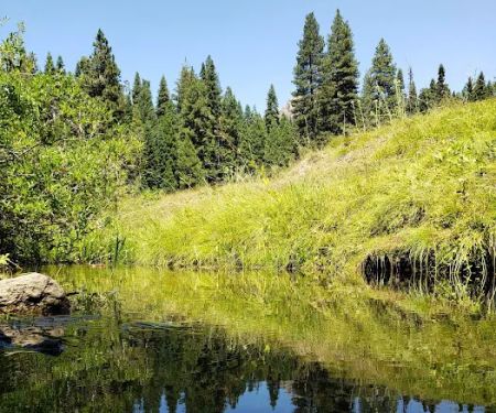 Kelty Meadow Campground - Office