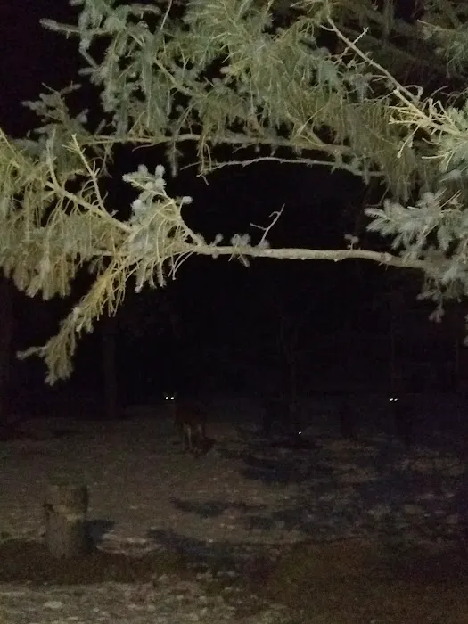 Eastview Mobile Home Park Picture 3