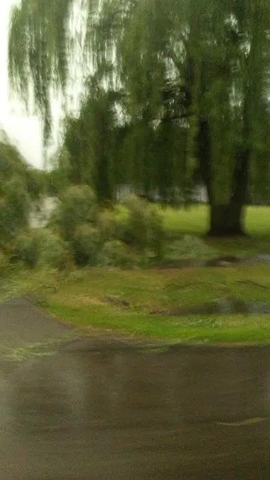 Eastview Mobile Home Park Picture 1