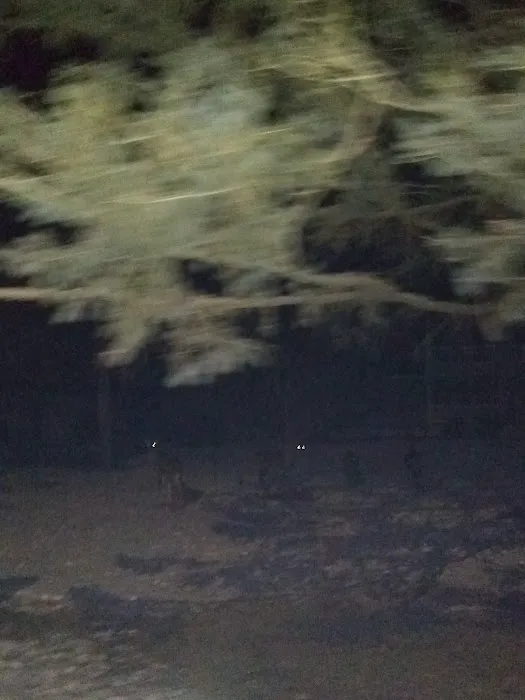 Eastview Mobile Home Park Picture 5