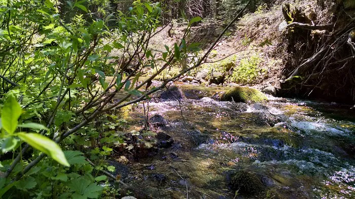 Texas Flat Group Campground Picture 2