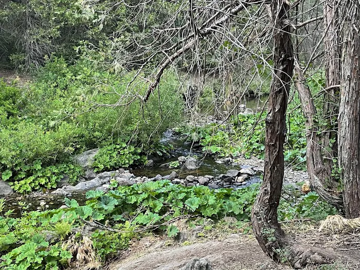 Texas Flat Group Campground Picture 1