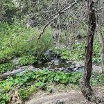 Texas Flat Group Campground