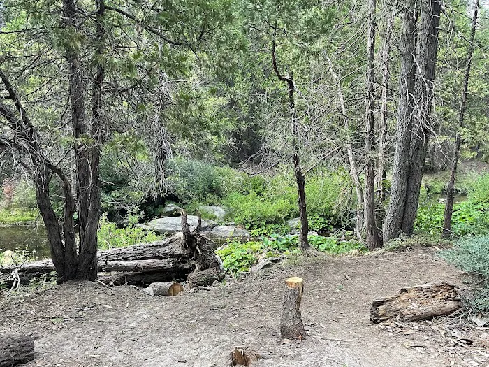 Texas Flat Group Campground Picture 4