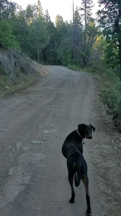 Texas Flat Group Campground Picture 5