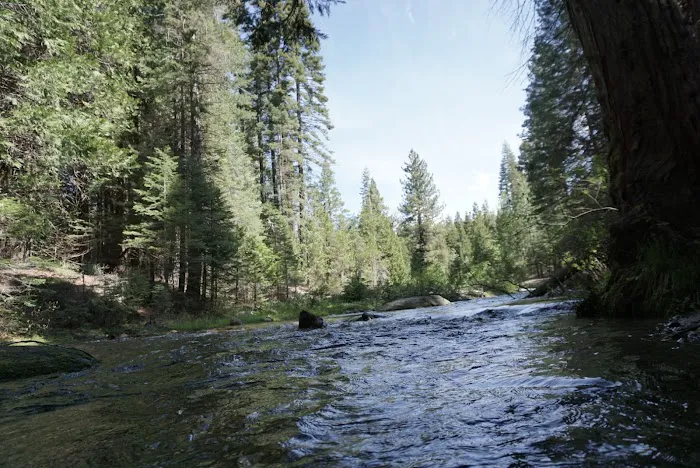 Texas Flat Group Campground Picture 9
