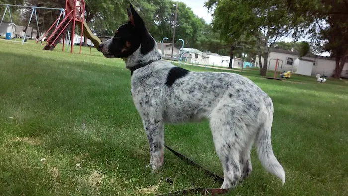 Glen Knoll Properties Picture 7