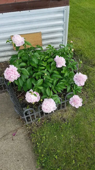 Glen Knoll Properties Picture 9