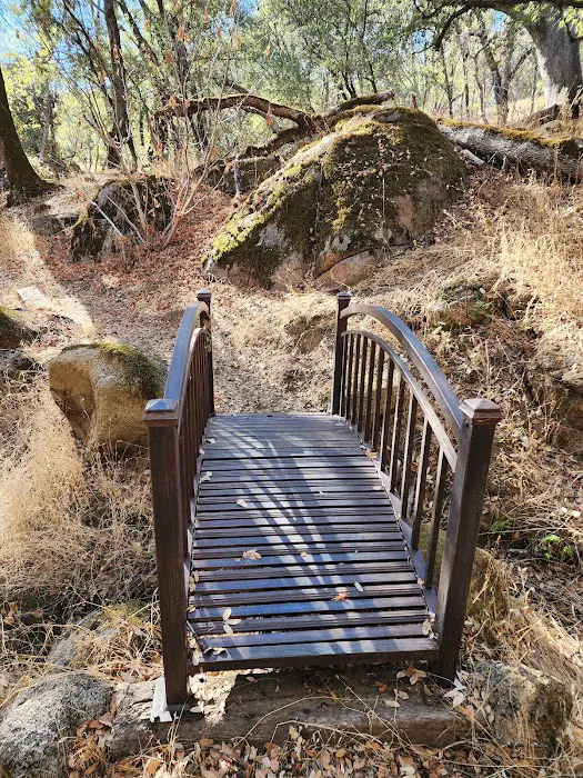 Black Oak Retreat Picture 9