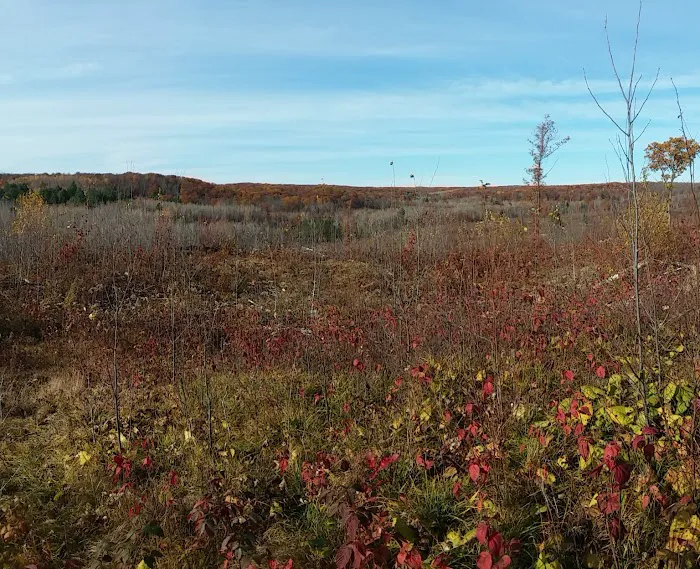 Featherstone RV Park Picture 9