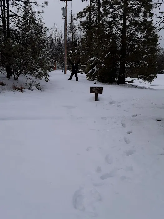 Bass Lake Recreation Office Info Site/fee Station (recgovnpsdata) Picture 10