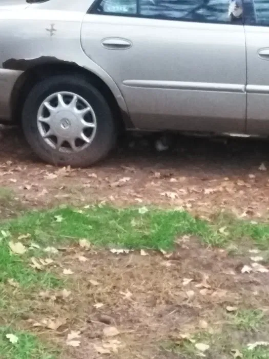 Village East Mobile Home Park Picture 2
