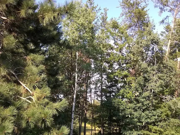 Village East Mobile Home Park Picture 1